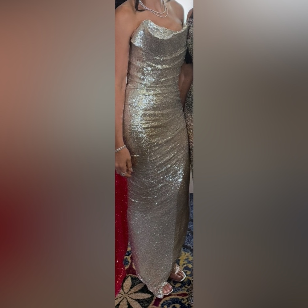 Elegant Silver Sequin Gown - Picture 6 of 15